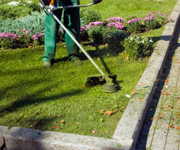 Commercial And Residential Maintenance