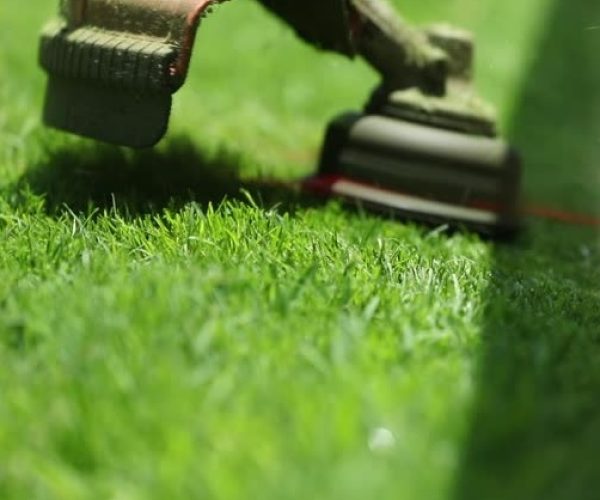 Garden Maintenance South Dublin